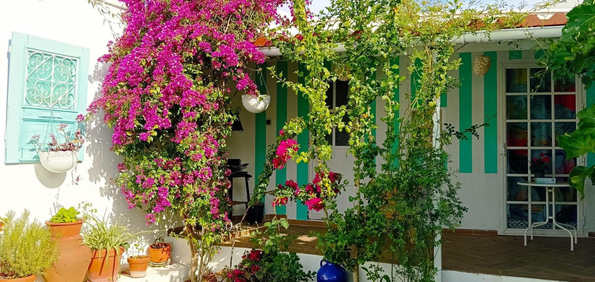 Casa Con Piscina Cerca De Sevilla Carrion de Los Cespedes Eksteriør billede