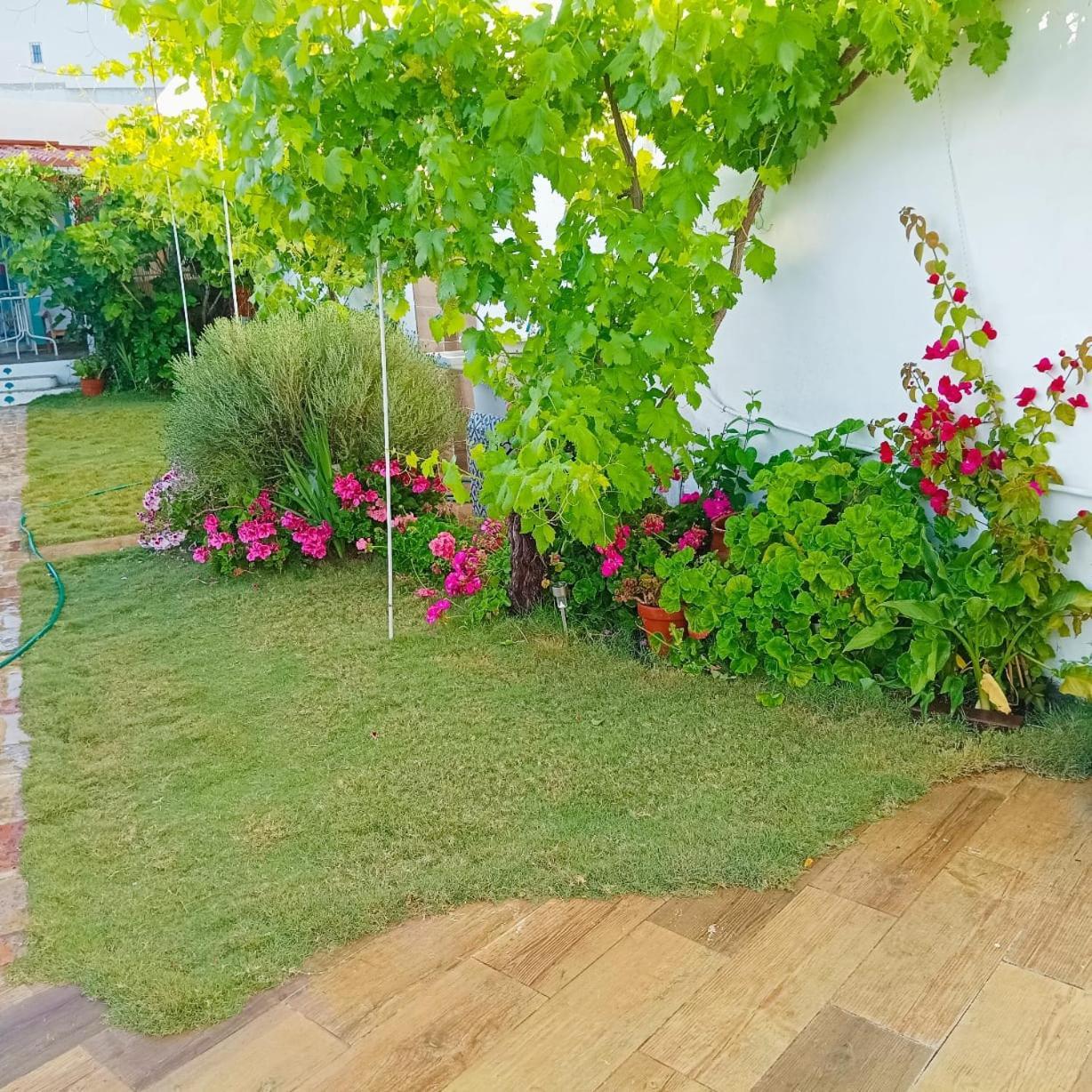 Casa Con Piscina Cerca De Sevilla Carrion de Los Cespedes Eksteriør billede