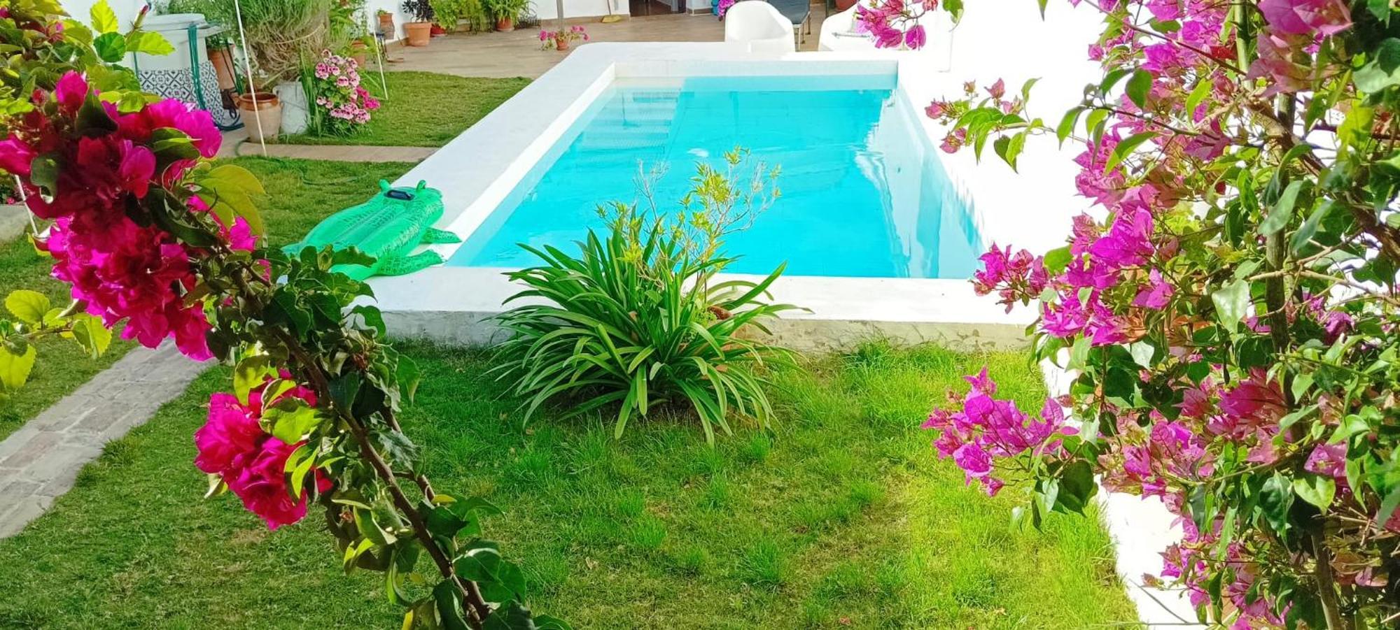 Casa Con Piscina Cerca De Sevilla Carrion de Los Cespedes Eksteriør billede